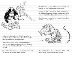 Carnet - Wonder Woman Insight Editions