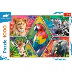 Puzzle - Animale exotice 1000 de piese