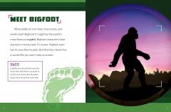 The Secret Life of Bigfoot