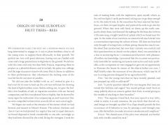 Swiss Family Robinson