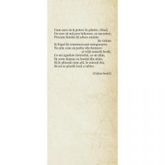 Legari si dezlegari de iubire