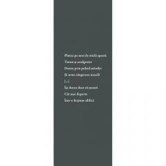 Dantela viselor macabre