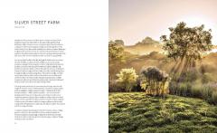 Brilliant English Gardens