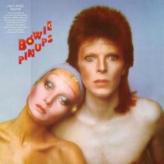Pinups - Vinyl