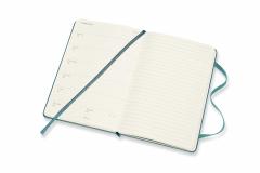 Agenda 2019-2020 - Moleskine 18 Months Weekly Notebook Diary and Planner - Magnetic Green, Pocket, Hard Cover