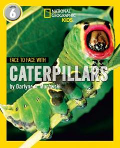 Coperta cărții Face to Face with Caterpillars