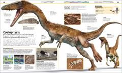 Knowledge Encyclopedia Dinosaur