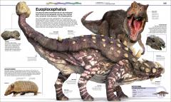 Knowledge Encyclopedia Dinosaur