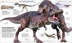 Knowledge Encyclopedia Dinosaur