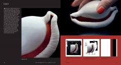 Photographers Eye: A graphic Guide