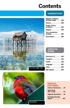 Lonely Planet Malaysia, Singapore & Brunei 