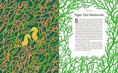 A Wild Child's Guide to Endangered Animals