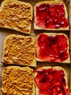 The Good Bite’s High Protein Meal Prep Manual