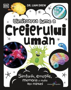 Uimitoarea lume a creierului uman