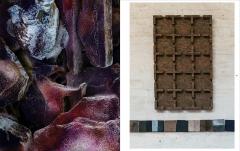 Breath of the Architect