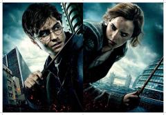 Poster cu 2 fete - Harry Potter Definitive Movie - mai multe modele