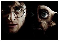 Poster cu 2 fete - Harry Potter Definitive Movie - mai multe modele