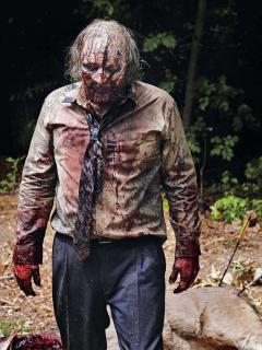 Poster cu 2 fete - The Walking Dead Vol. 2 - mai multe modele