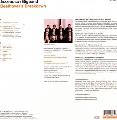 Beethoven's Breakdown - Vinyl