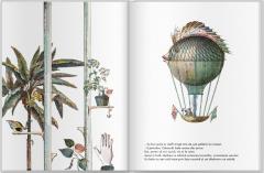 Cu toata viteza inainte