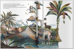 Cu toata viteza inainte