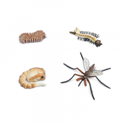 Set - Ciclul vietii la tantari