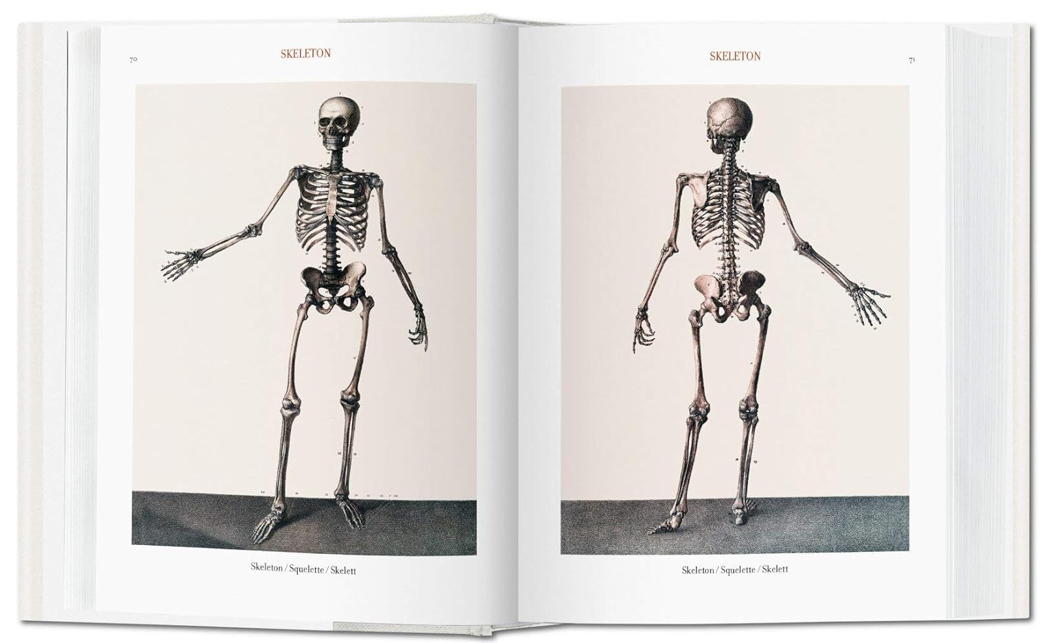 The Complete Atlas of Human Anatomy and Surgery - J.M.