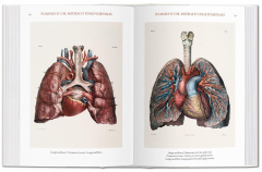 The Complete Atlas of Human Anatomy and Surgery