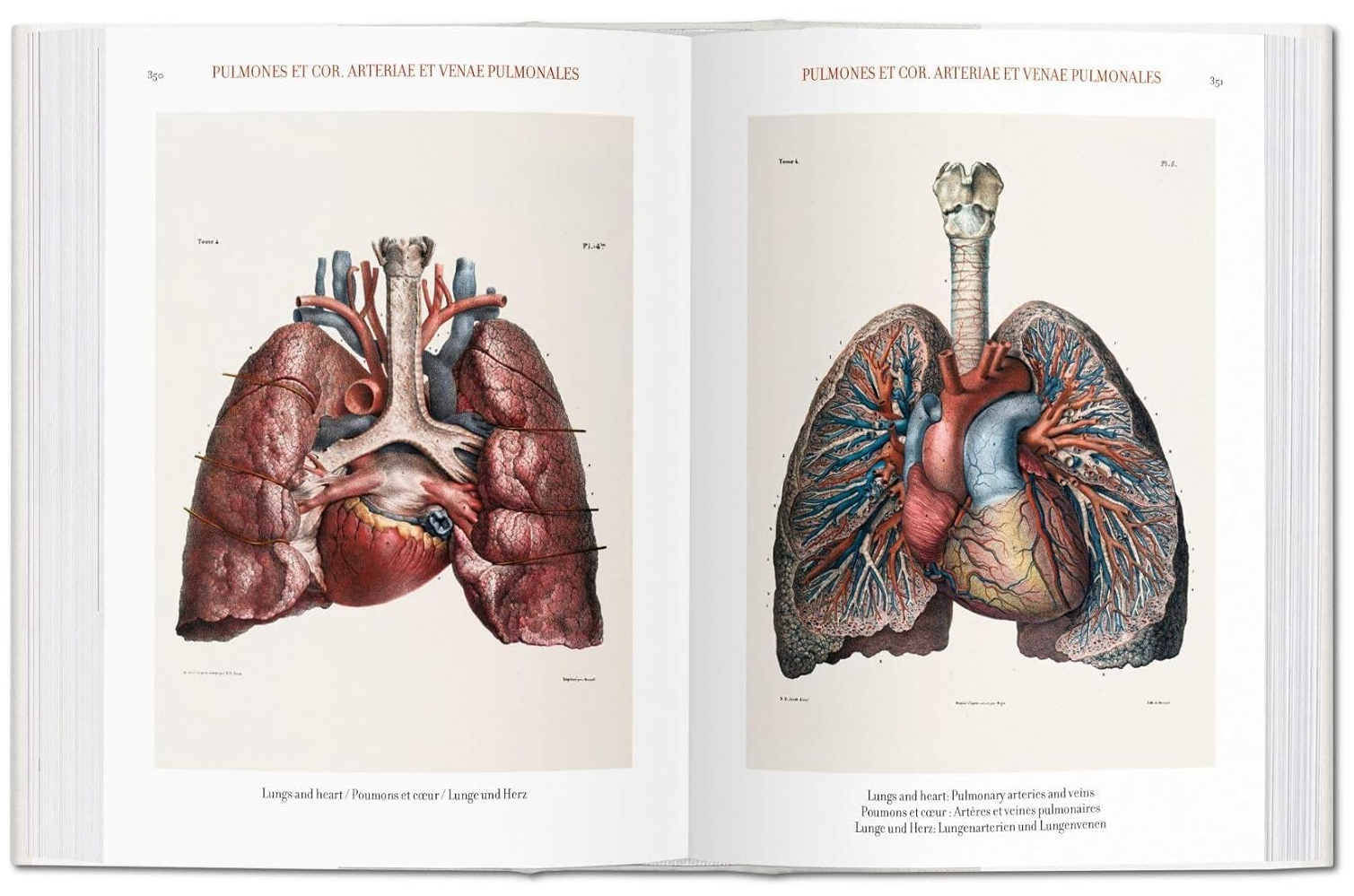 解剖学 Atlas of Human Anatomy and Surgery Bourgery. Atlas of Human Anatomy and Surgery. TASCHEN Books