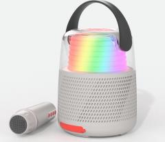 Boxa karaoke - Enceinte KS-80 - Gris