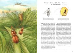 Insectopia