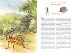 Insectopia