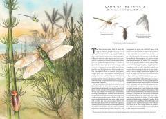 Insectopia