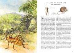 Insectopia