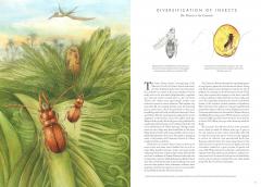 Insectopia