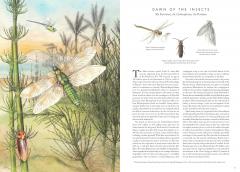 Insectopia