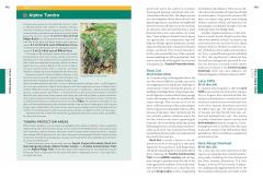 Moon Rocky Mountain National Park