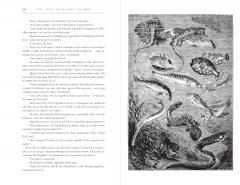 Vingt mille lieues sous les mers