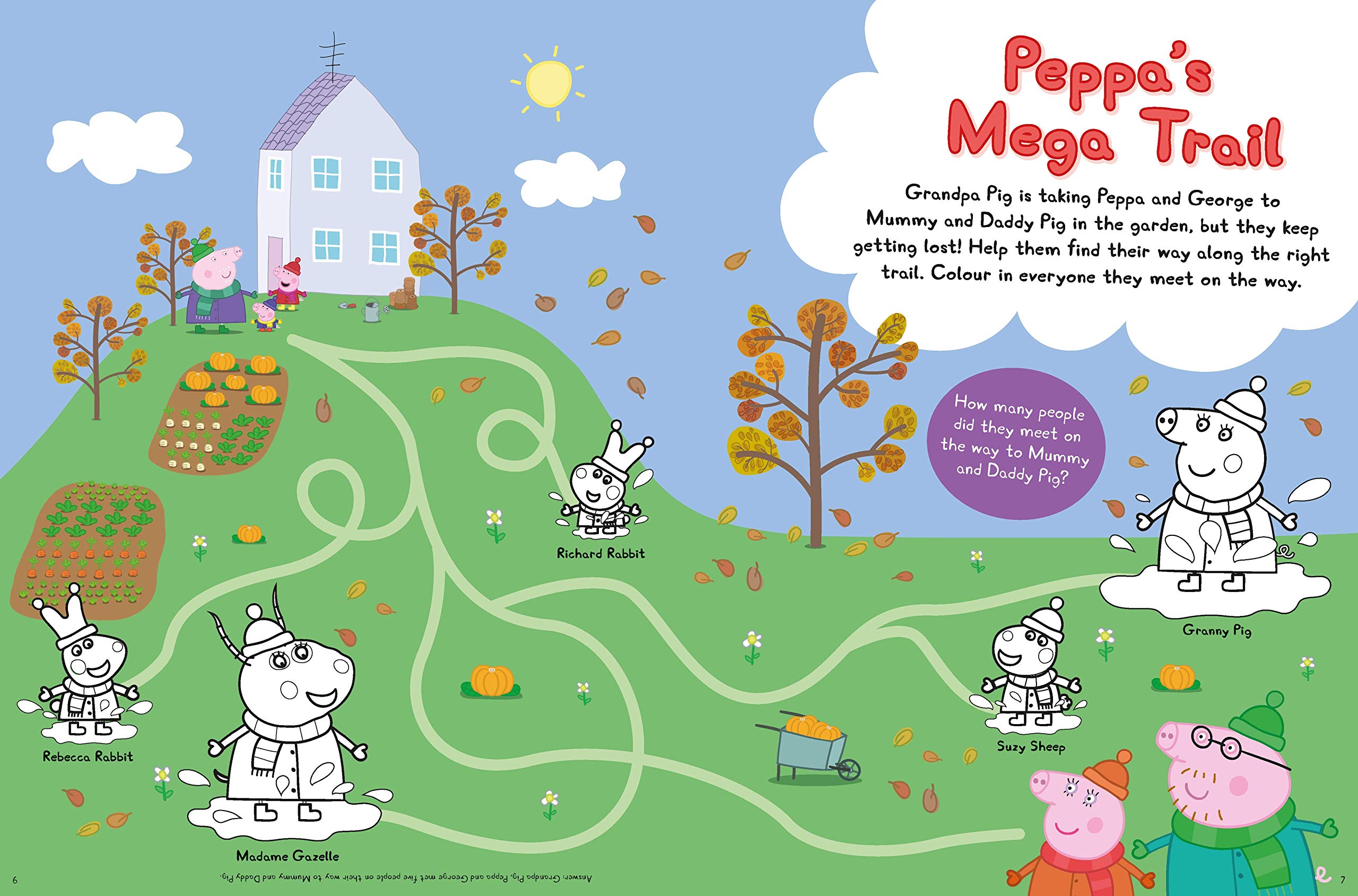 The Official Peppa Annual 2020 Peppa Pig