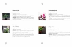 Vertical Garden Design