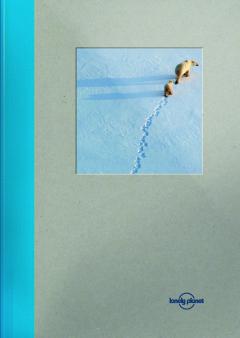 Carnet - Lonely Planet Large Notebook: Polar Bear