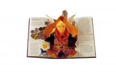 Encyclopedia Mythologica: Gods and Heroes Pop-Up