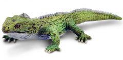 Figurina - Tuatara