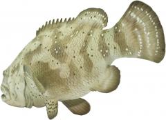 Figurina - Goliath Grouper