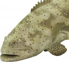 Figurina - Goliath Grouper