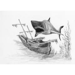 Set desen - Sketching Made Easy: Shark