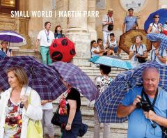 Coperta cărții Small World