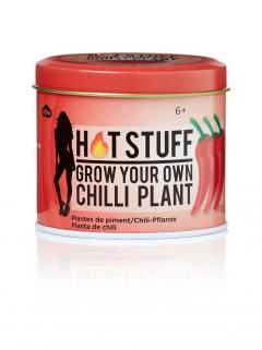 Grow your own Chilli Plant