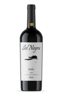  Vin rosu - Asconi, Sol Negru, Malbec, sec, 2016