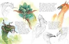 Faeries of the Faultlines